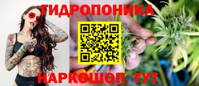 шишки Дубна