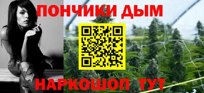 шишки Дубна