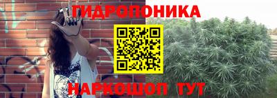 PSILOCYBIN Донской