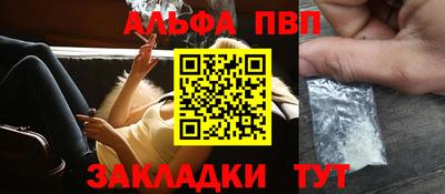 шишки Дубна