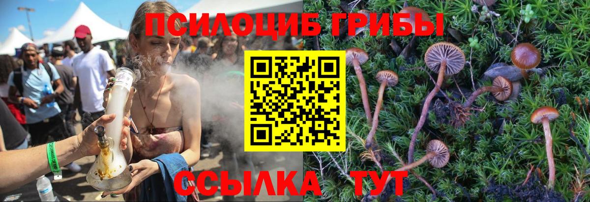 Галлюциногенные грибы Magic Shrooms  Псилоцибиновые грибы MAGIC MUSHROOMS  Самара  Вход с VPN 