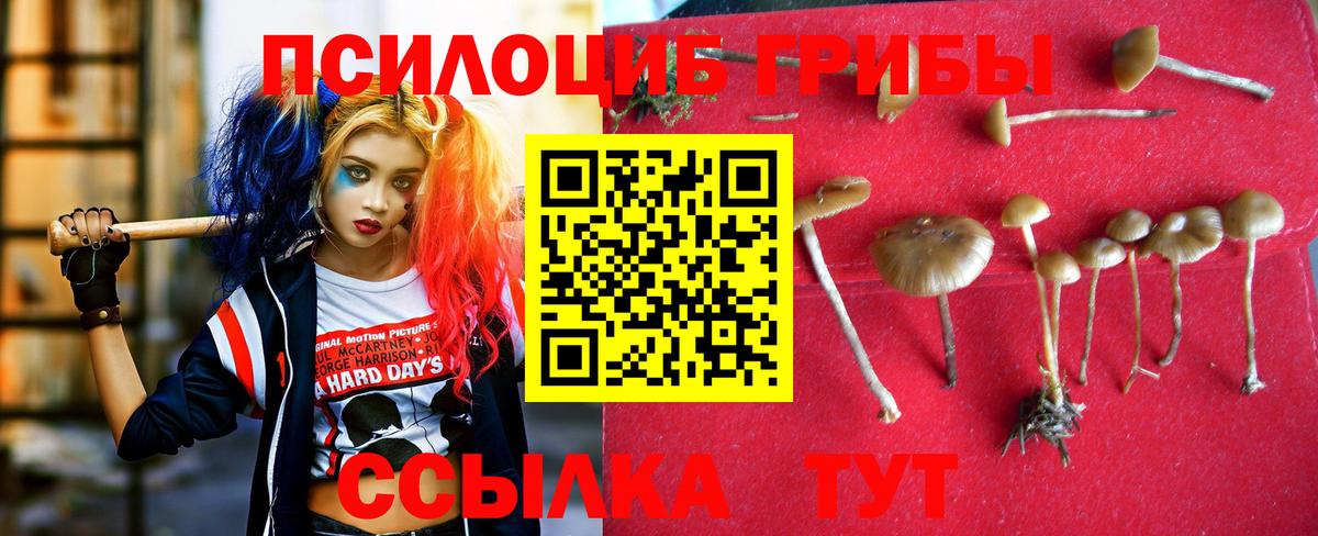 Псилоцибиновые грибы ЛСД Самара